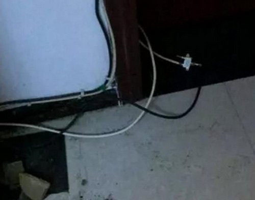 二哈拆家咬到電線，成果被電到炸毛，主人笑翻：小家伙長(zhǎng)的真共同