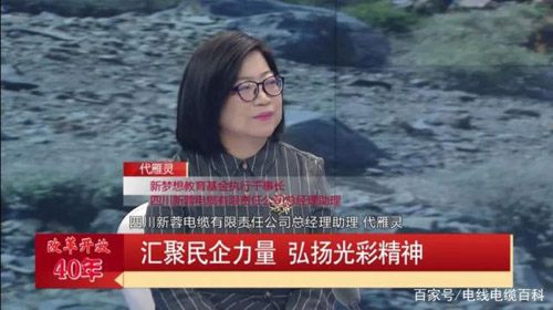 新蓉電纜總經(jīng)理李紅燕